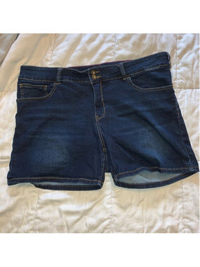 High-Rise Blue Denim Shorts Size 18+
